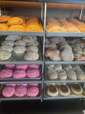 Conchas, Sweet Bread, Pan de Dulce, ojo de buey ("round pastry with a flaky exterior and a soft, dark, bready center" -Macomber)