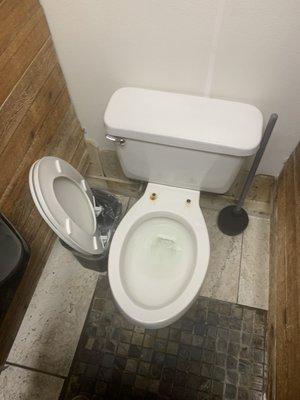 Broken Toilet.