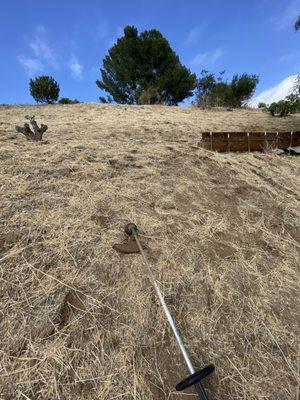 Weedwhacking , Weed Abatement , Skilled Weedwhacking , Hillside Clearance , Fire Clearance