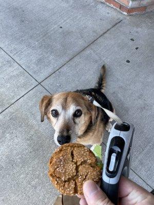 Beck loves the bakery house.