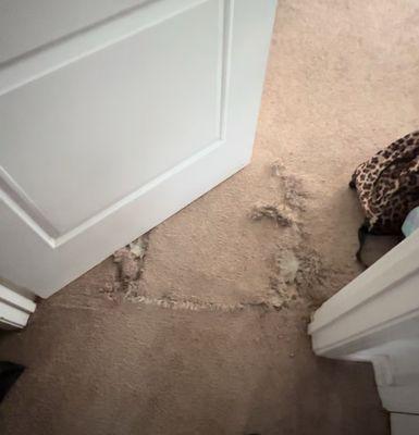 Cerlina Flooring Carpet Cleaning & Expert Repair