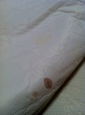 BLOOD and Urine on the BED!! EWWWWW!!!