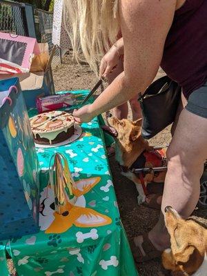 Birthday pup party