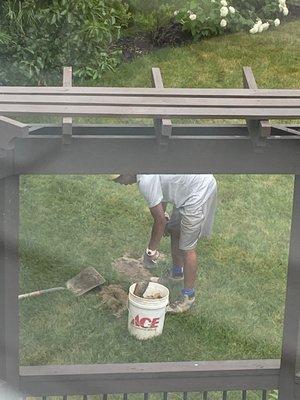 Bag of soaked concrete that busted in our yard