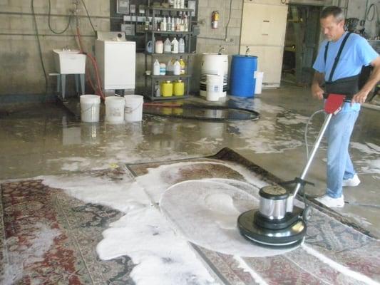 Rug being cleaned in our facility.