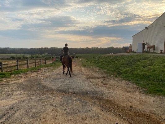 Beautiful evening for a ride on Luke!