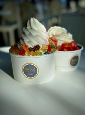 Large Yogurt with Toppings