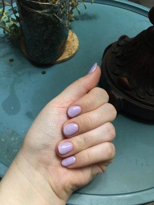 Gel nail in lavender