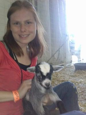 When the fair came i went to the farm and petted goats