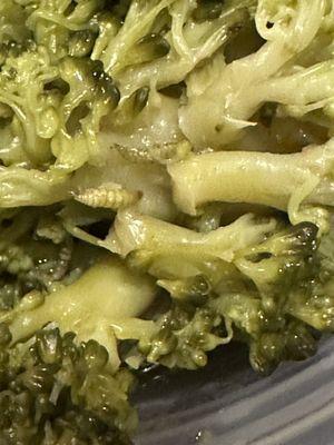 Worms from unwashed food. Green Worms