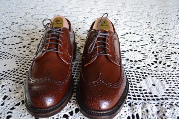 Alden Ravello Shell Longwing Blucher Barrie Last 7D with Alden Shoe Trees (delivery day 12/20/2012).