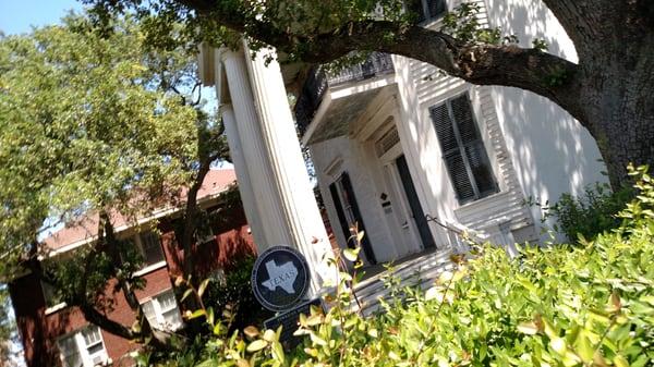 Historical marker hidden by tall hedges.