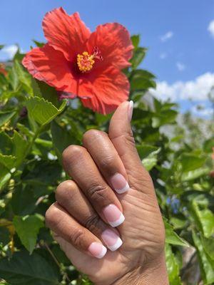 Dip powder French tips