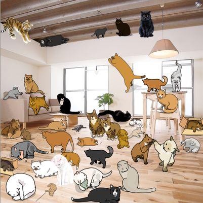 Cat paradise