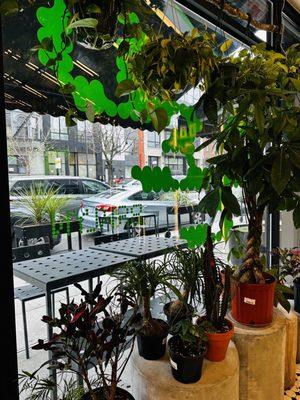 Plants inside, seating outside