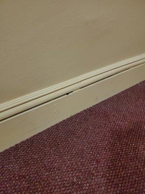 Look Close and you will see roaches in the cracks, in the hallway.