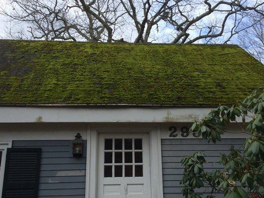 Heavy moss covered roof.