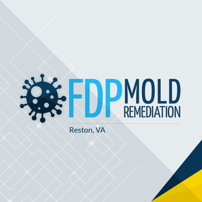 FDP Mold Remediation logo