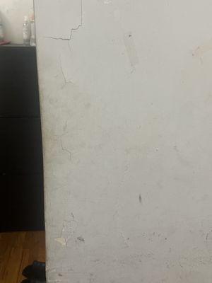 I live in 42-55 80 street ,Elmhurst Ny,11373 Apt#3E .This apartment need immediately painting in the whole place .There is a lot of peeling