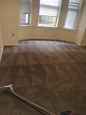 Carpet cleaning $30 per room