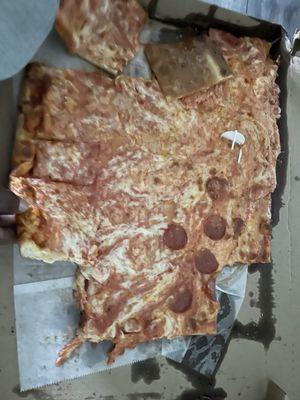 pizza in question