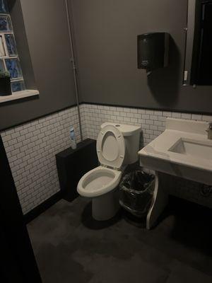 New updated bathroom