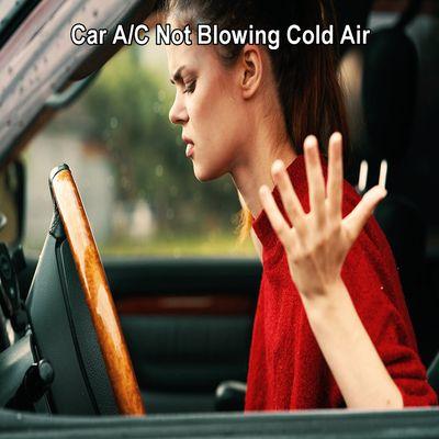 Learn why your car A/C is not blowing cold air and what to do. https://www.goamericanautocare.com/car-ac-is-not-blowing-cold-air