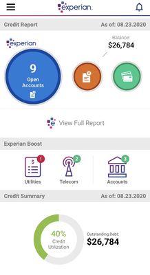 The app dashboard makes it easy to navigate all my credit accounts and track changes in my credit.