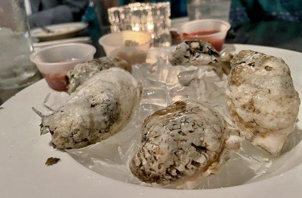 Fresh Oysters from Virginia