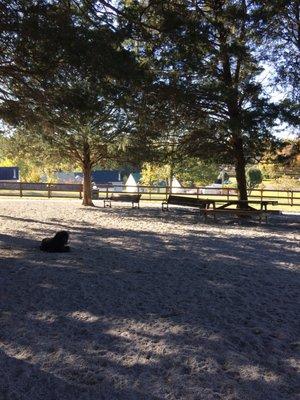 Lots of benches and open area