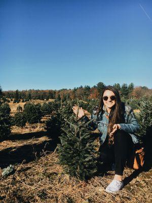 excellent place to go for all your christmas tree needs.