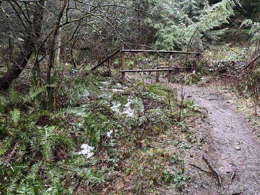 Remnants of last week's snow