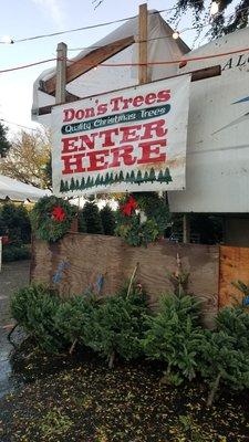 The best boutique tree lot in Marin!!