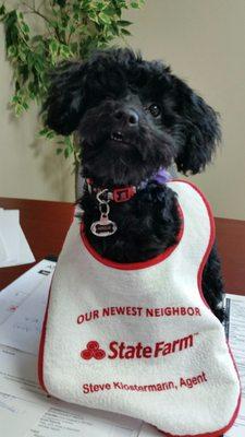 Angus spent a day in our office.