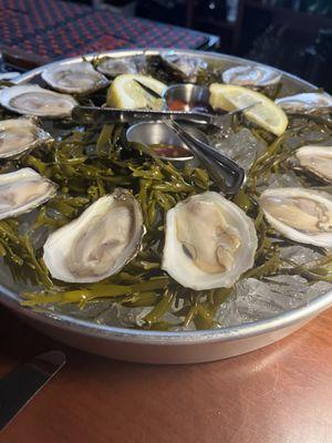 PEI Oysters