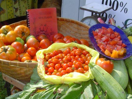 VARIETIES OF TOMATOS