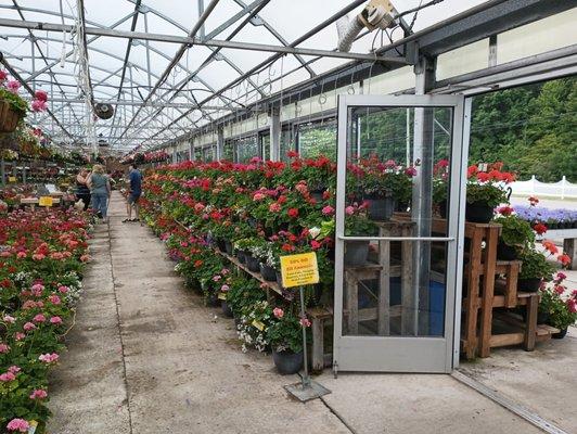 Potted flowers as far as you can see.