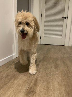 Handsome boy post-groom