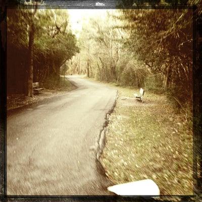 The paved trail