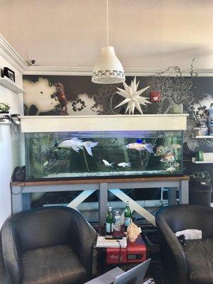 Fish tank next to bar.