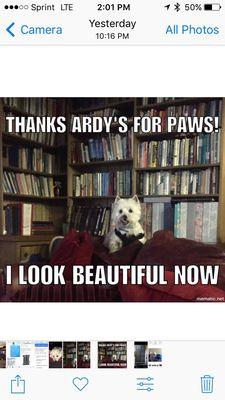 I love Ronny and Ardy's For Paws. I won't trust this old girl to anyone else.