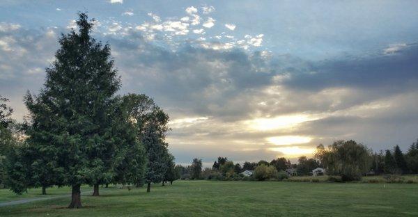 8th hole at 8pm, perfect weather.