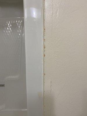 Disgusting stained walls