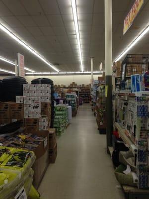 Norwood Ocean State Job Lot -- Route 1 Shopping Center : 1001 Providence Highway / Route 1, Norwood                 Interior