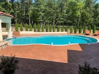 Custom pool by Nolan Pools.