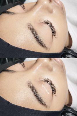 HYBRID LASH