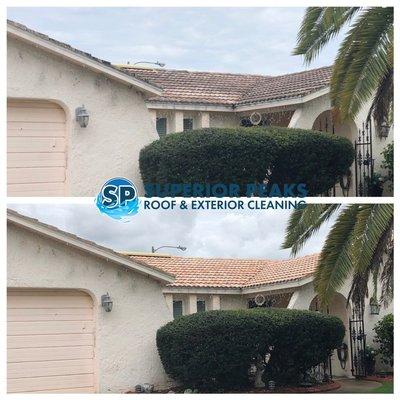 Tile roof cleaning Before and After