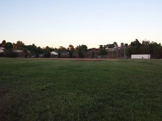 Field at dusk