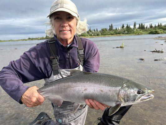 One of few silvers on the Upper Alagnak on a fly in August.