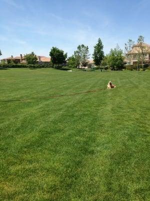 Hunter at the park!